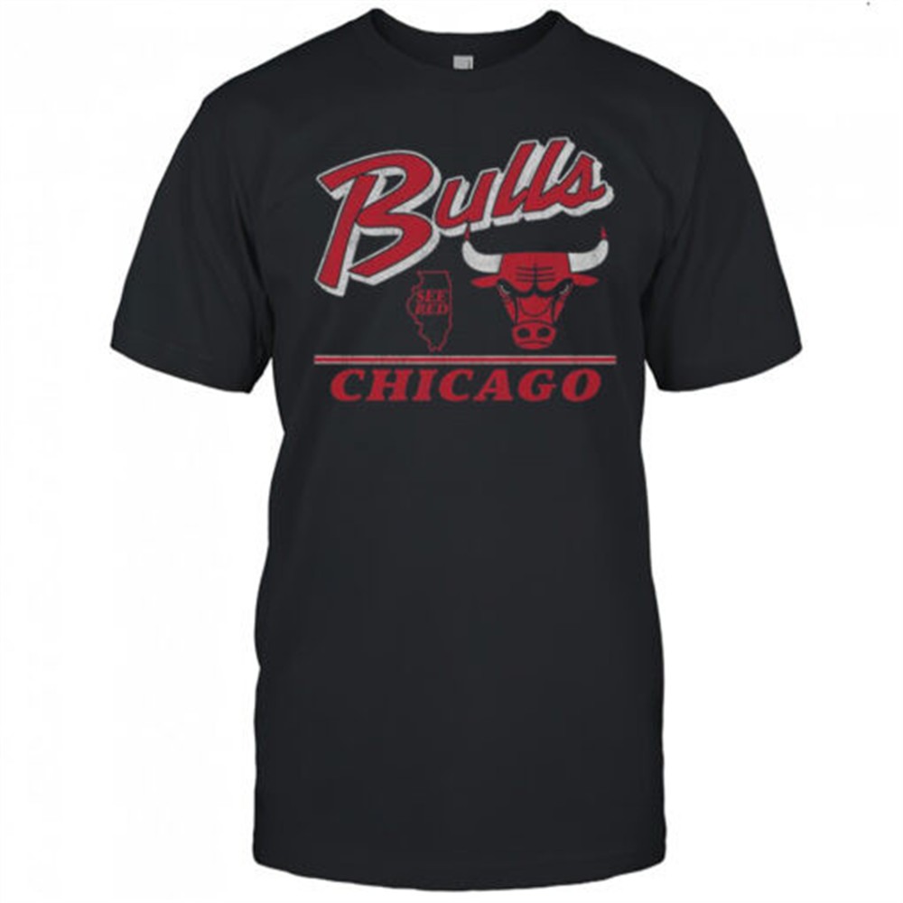 chicago-bulls-fly-by-vintage-t-shirt-hn7plude Chicago Bulls Fly By Vintage T-Shirt