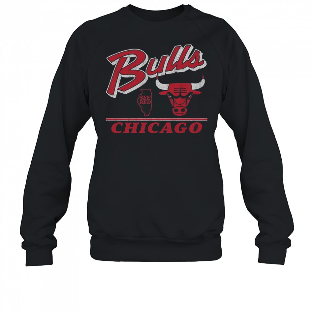 chicago-bulls-fly-by-vintage-t-shirt-hn7plude Chicago Bulls Fly By Vintage T-Shirt