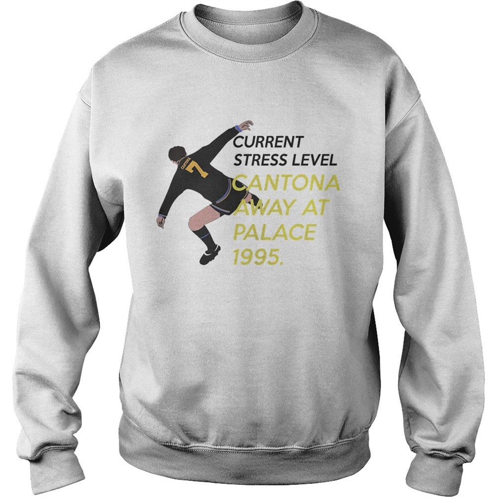 current-stress-level-cantona-away-at-palace-1995-shirt-ahtztz65 Current stress level cantona away at palace 1995 shirt