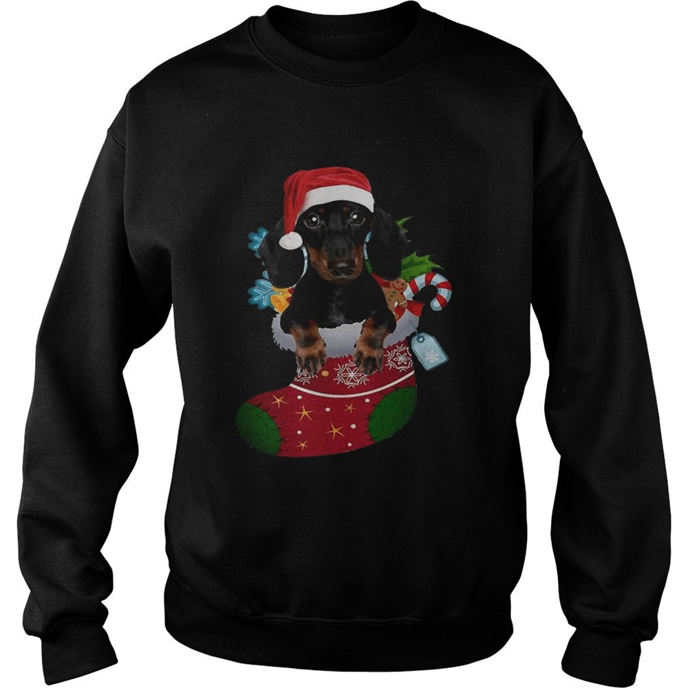 Dachshund in sock Christmas shirt