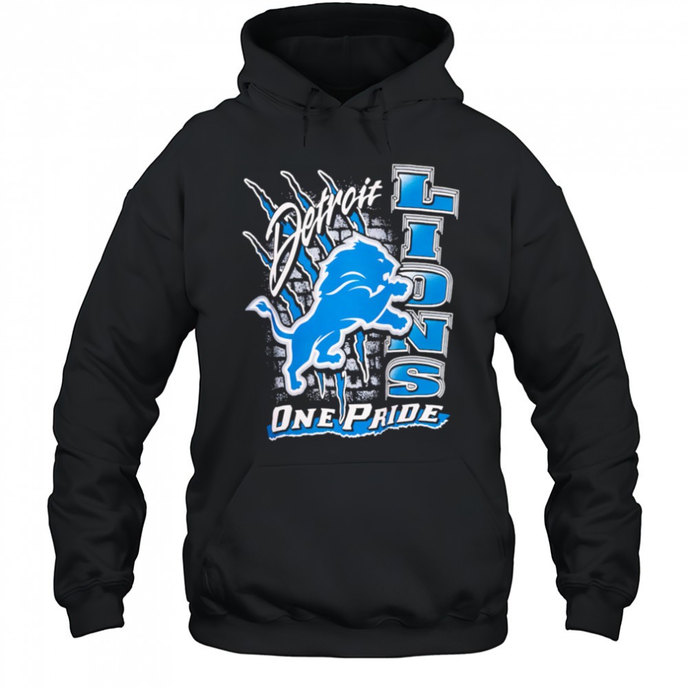 Detroit Lions One Pride Vintage shirt