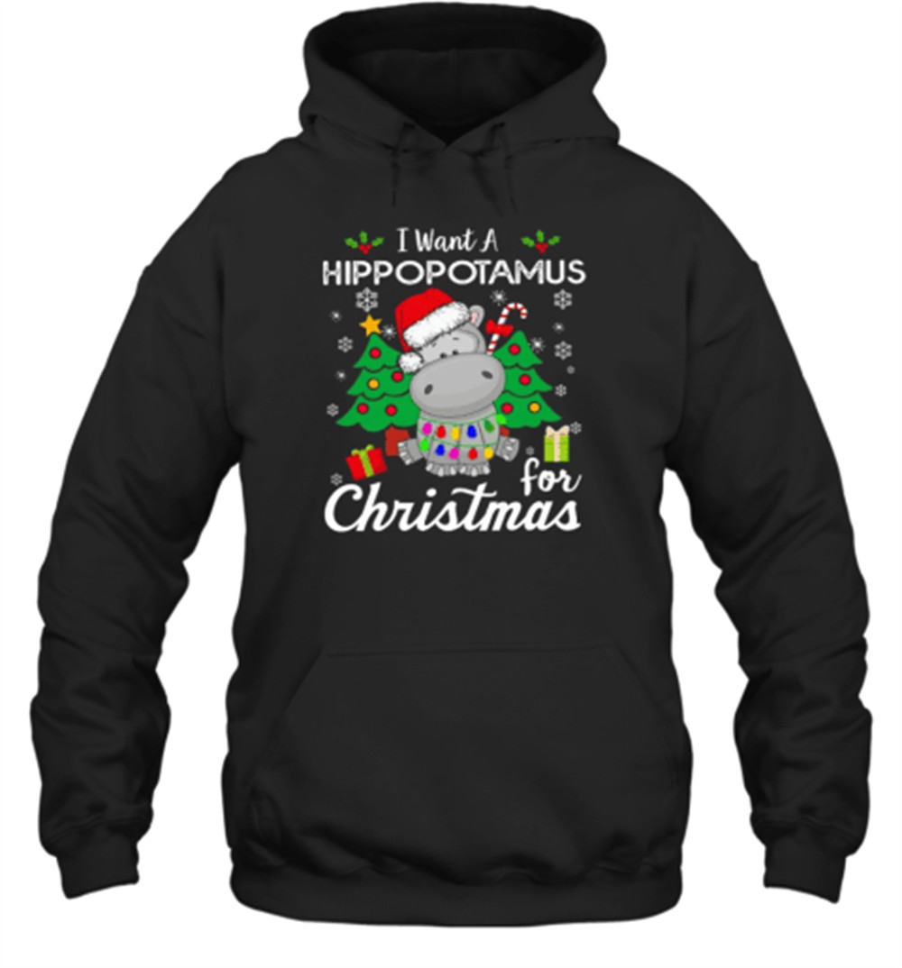 I Want A Hippopotamus For Christmas Teacher T-Shirt