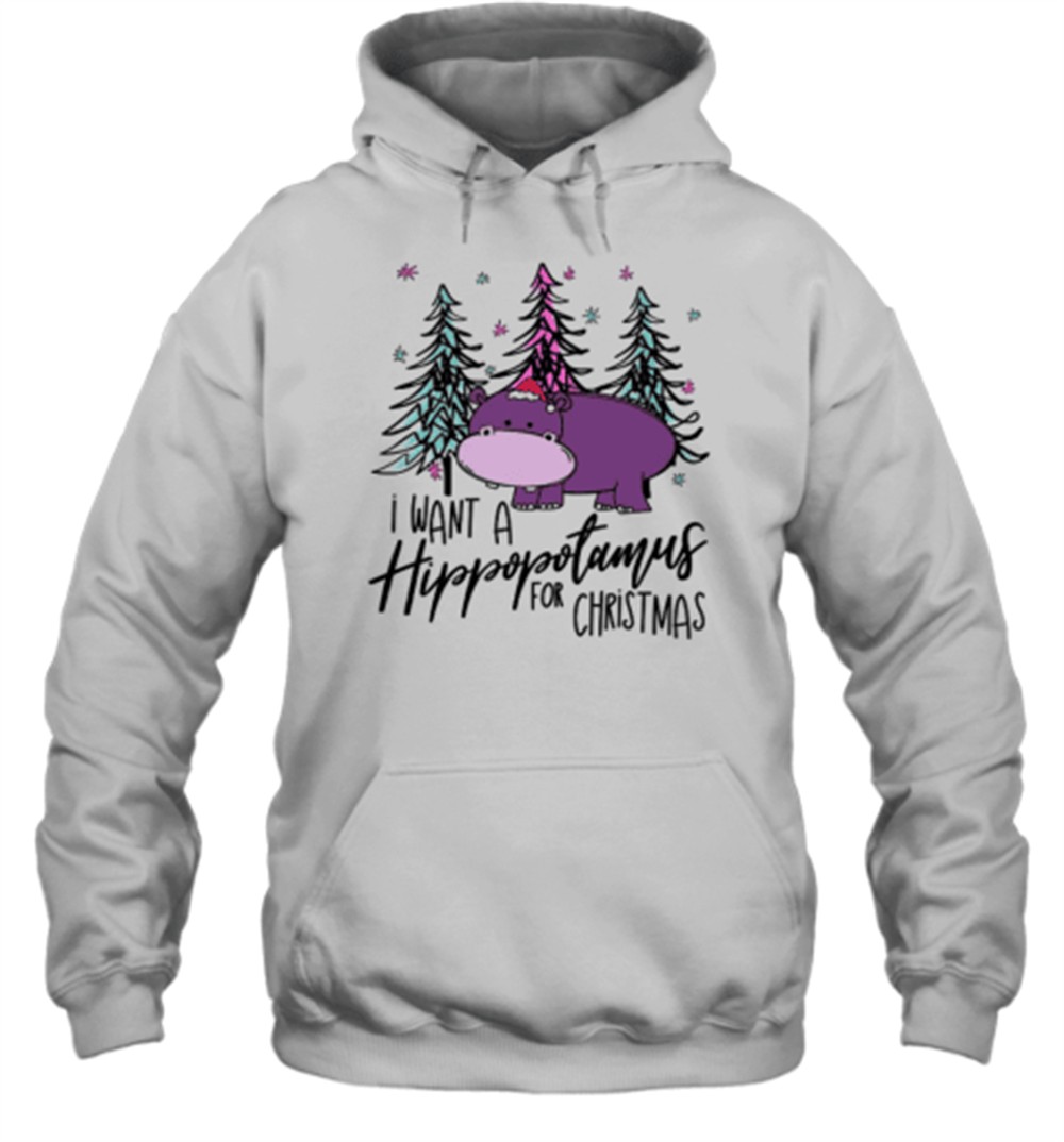 I Want A Hippopotamus For Christmas Teachers T-Shirt