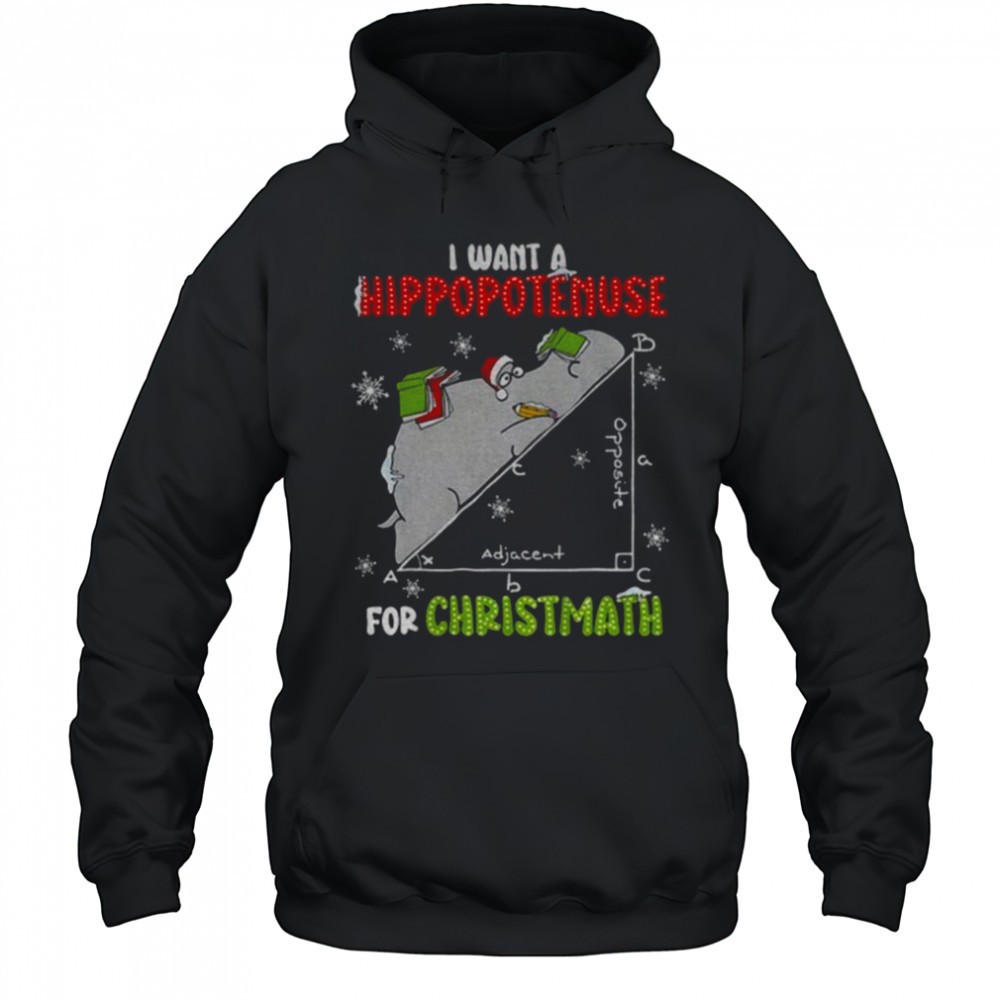 I Want A Hippopotenuse For Christmas Math Lover Hippopotamus shirt