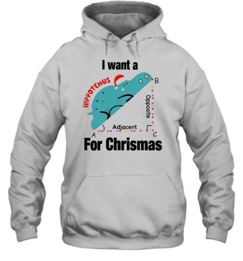 I Want A Hippotenus For Christmas Teacher T-Shirt
