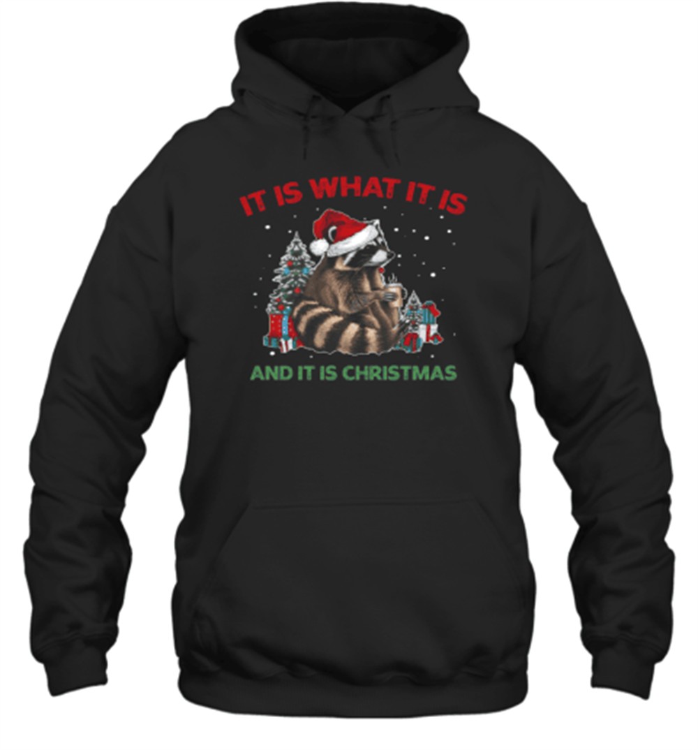 It Is What It Is And It Is Christmas Racoon Quote Essential T-Shirt