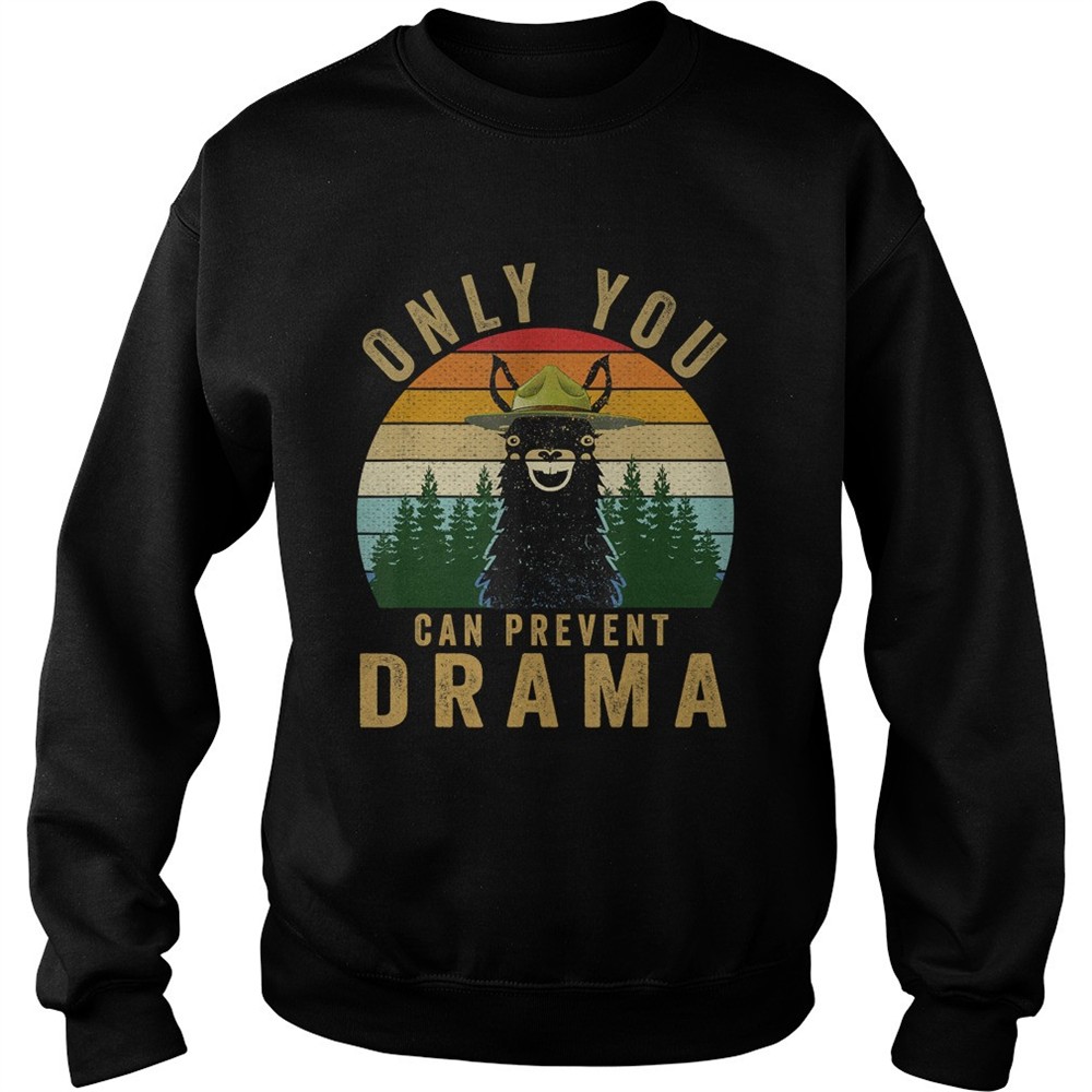 Only you can prevent drama Llama Camping Vintage funny gift TShirt