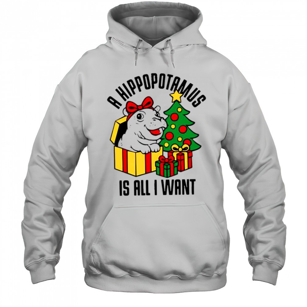 Original A hippopotamus is all I want Christmas shirt