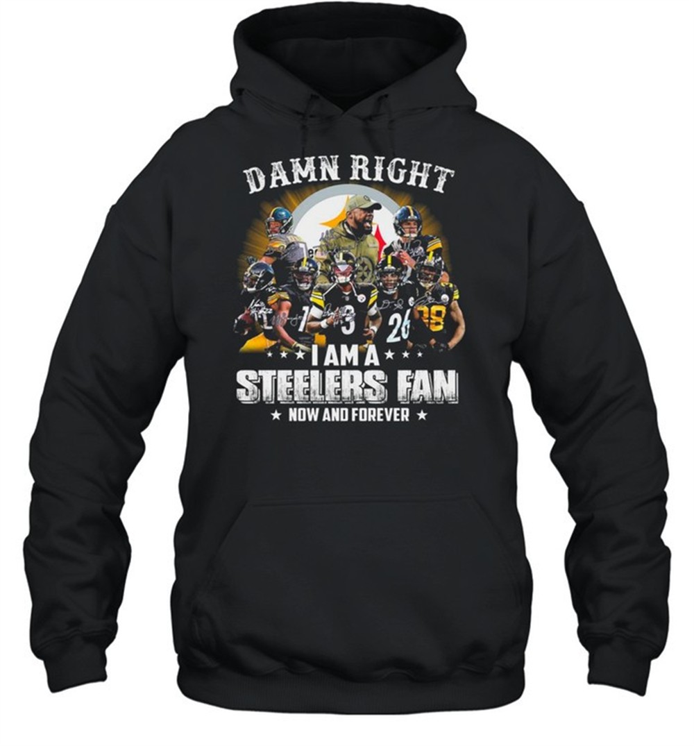 Pittsburgh Steelers Baseball Teams Damn Right I Am A Steelers Signature Fan Now And Forever shirt