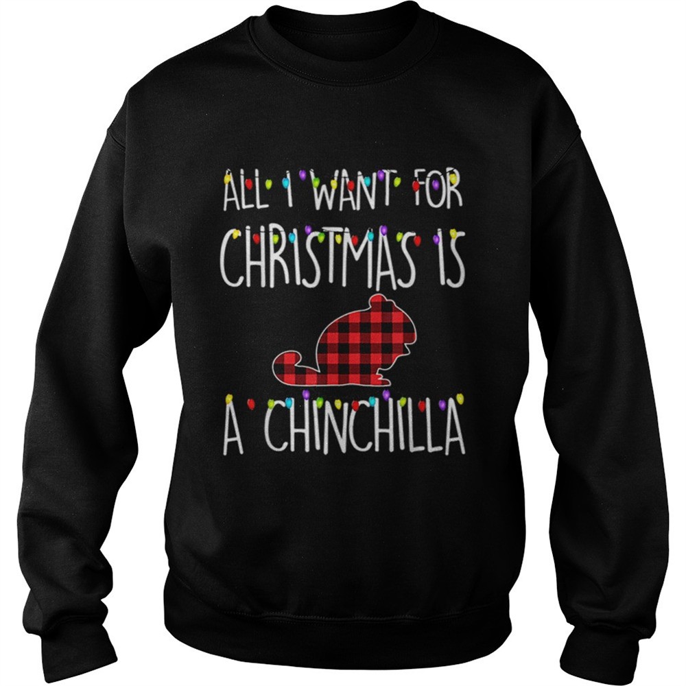 Pretty All I Want For Christmas Is A Chinchilla Animal Xmas Gift shirt