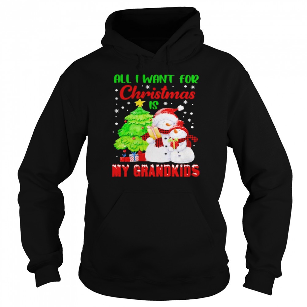 Snowman all I want for Christmas is my grandkids shirt