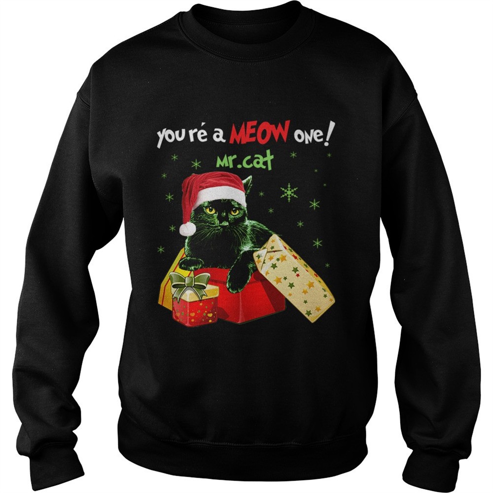 Youre A MEOW One Mr Cat Christmas Holiday Funny TShirt